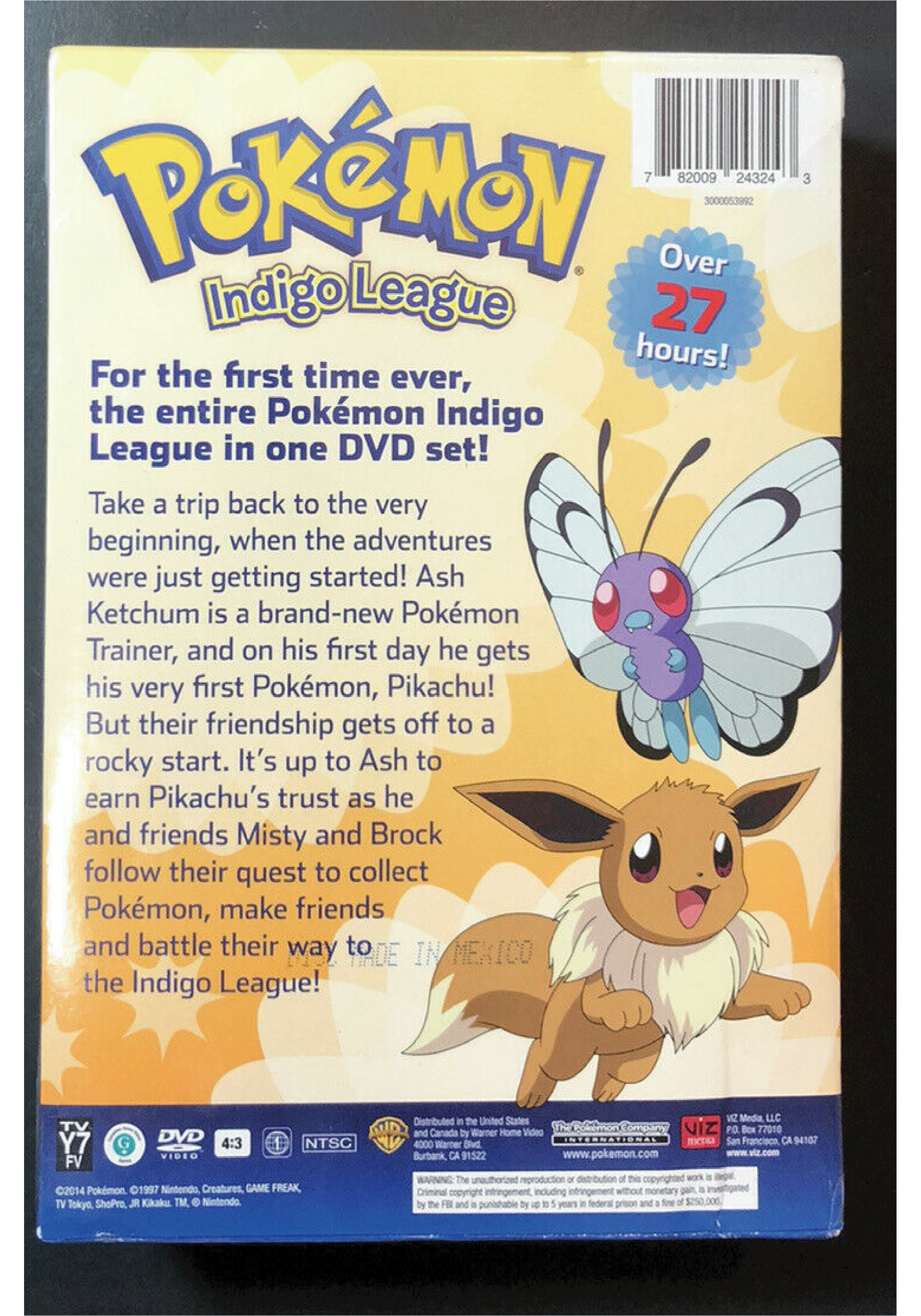 Pokémon: Indigo League