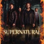 Supernatural TV Series Complete 12th Twelfth Season 12 Twelve NEW 6-DISC DVD SET